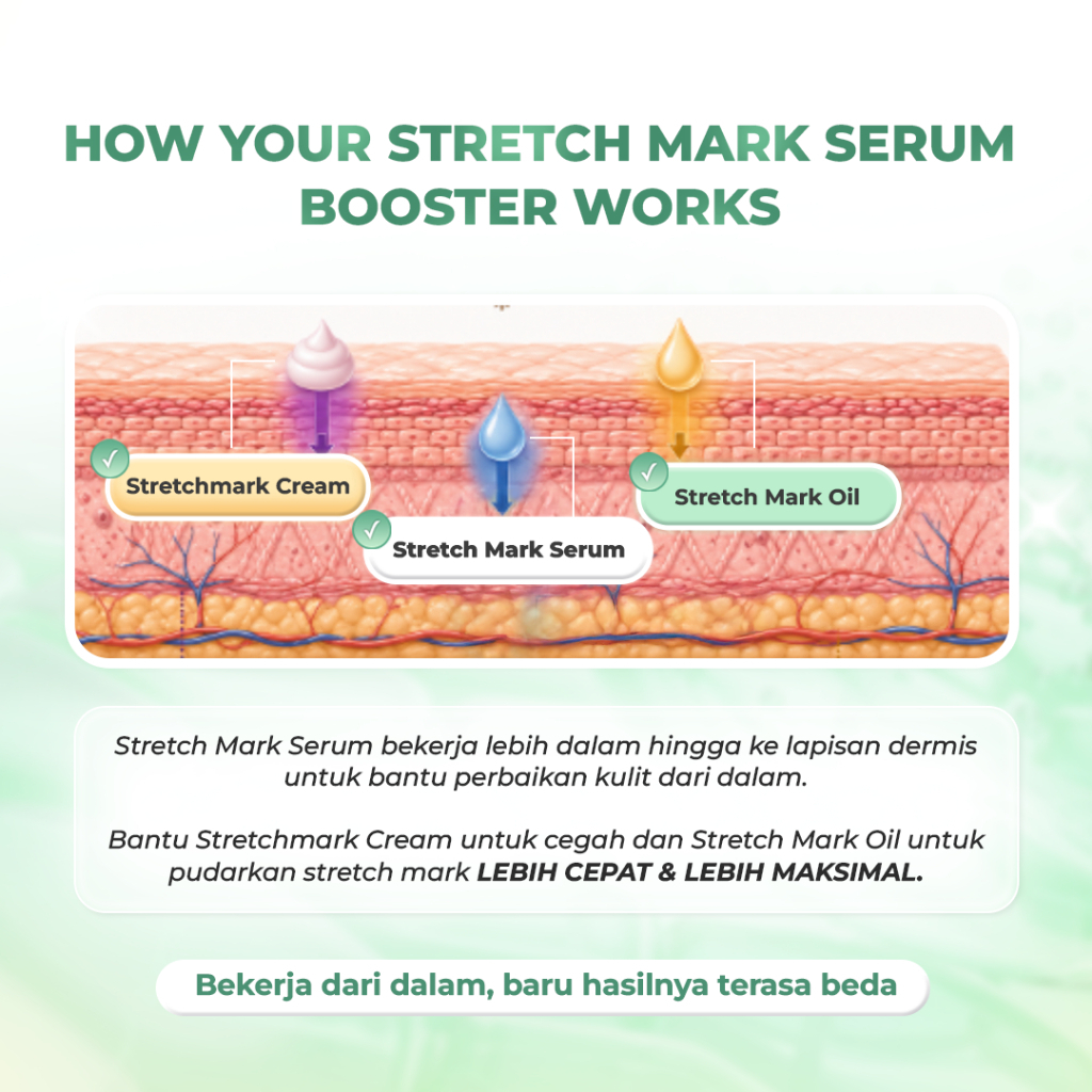 Bundling Stretch Mark Serum 1Pcs + Stretch Mark Oil 1Pcs + Stretch Mark Cream 1Pcs - Image 5